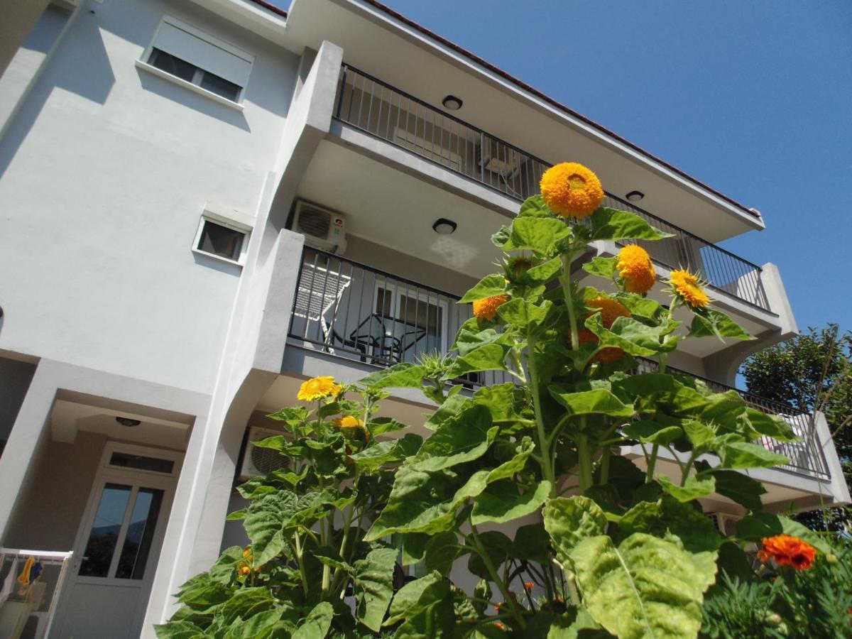 Apartments Macaso Bar Exterior foto